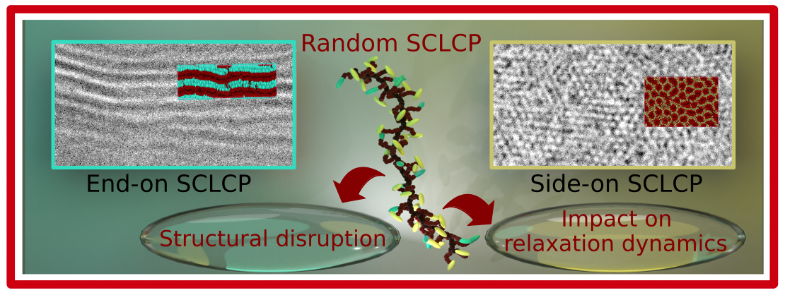 Soft Matter
