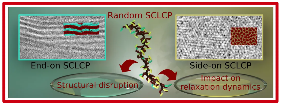 Soft Matter